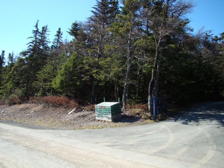 Lot 4 (Front View/Paved Driveway) 